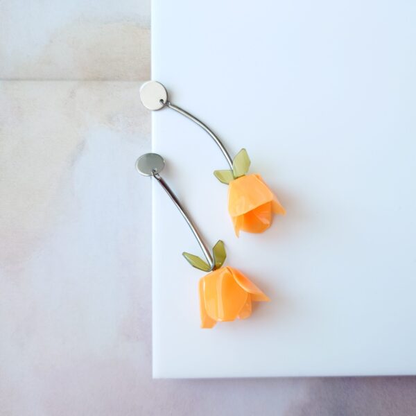 RARE SPECIES tulipa