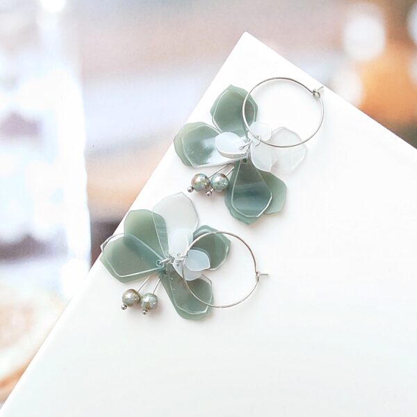 RARE SPECIES bauhinia